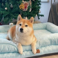 Haru