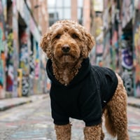 Jax