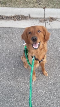 Tucker