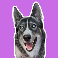 Lulu