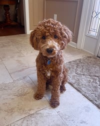 Milo