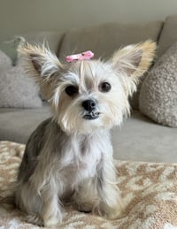 Minnie