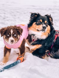 Indigo and Issa