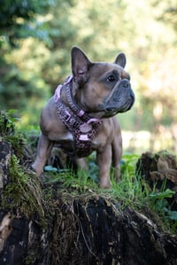 Marnie