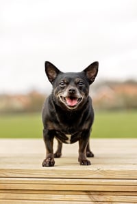 Prue