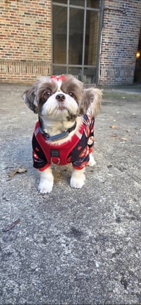 fluffy