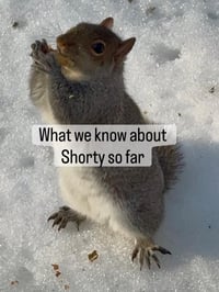 Shorty