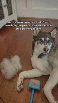 Balto