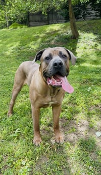 Zeus