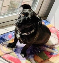 Skye