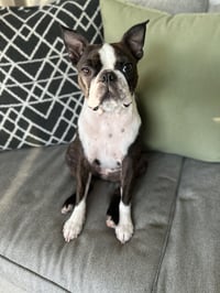 Rosie