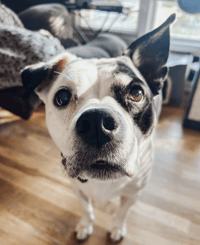 Axle