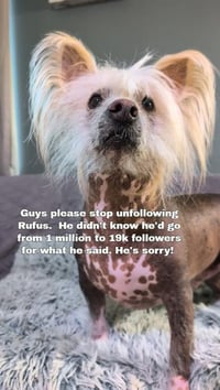 Rufus