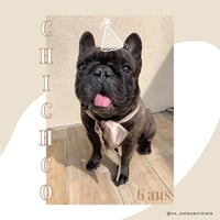 Chichco