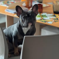 Ugo