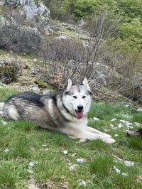 Atena