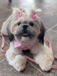 Millie