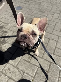 Winnie