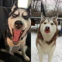Luna and Sakari