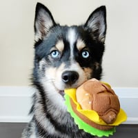 Levi