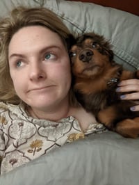 Mr Biscuit
