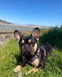 Murph