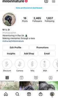 Milo