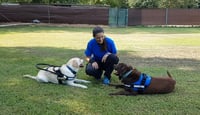ONA - we have more dogs (assistance and therapy dogs)