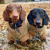 Oliver & Stanley