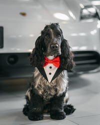 Milo