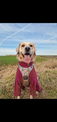 Bella