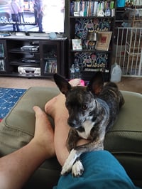 Zoë