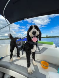 Oakley