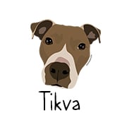 Tikva