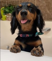 Mia