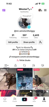 Winston