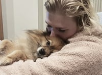 Meeko