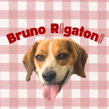 Bruno Rigatoni