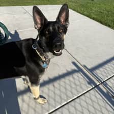 lokithegerman
