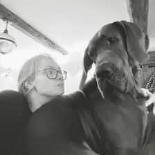 The Developer and The Dane