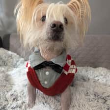 Rufus