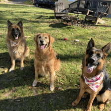 Sasha, Hunter & Leo
