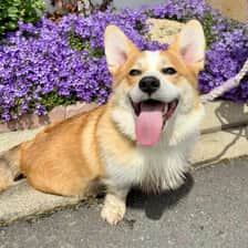 Oscar