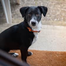 Zoe