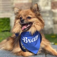 Bram