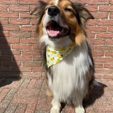 Zoë