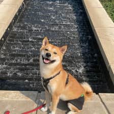 Milo