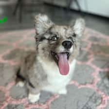 Marco