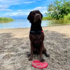 Anouk