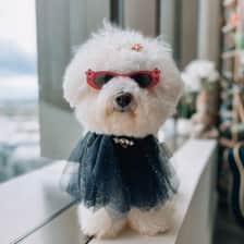 Monty